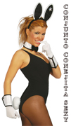 REF 16469 / 4.95 €