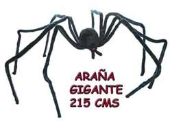 REF 19168 / 21.95 € / 215 CMS