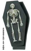 REF 19217 / 3.50 € / 15 CMS