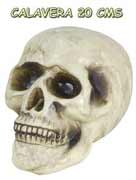 REF 19336 / 3.95 € / 20 CMS